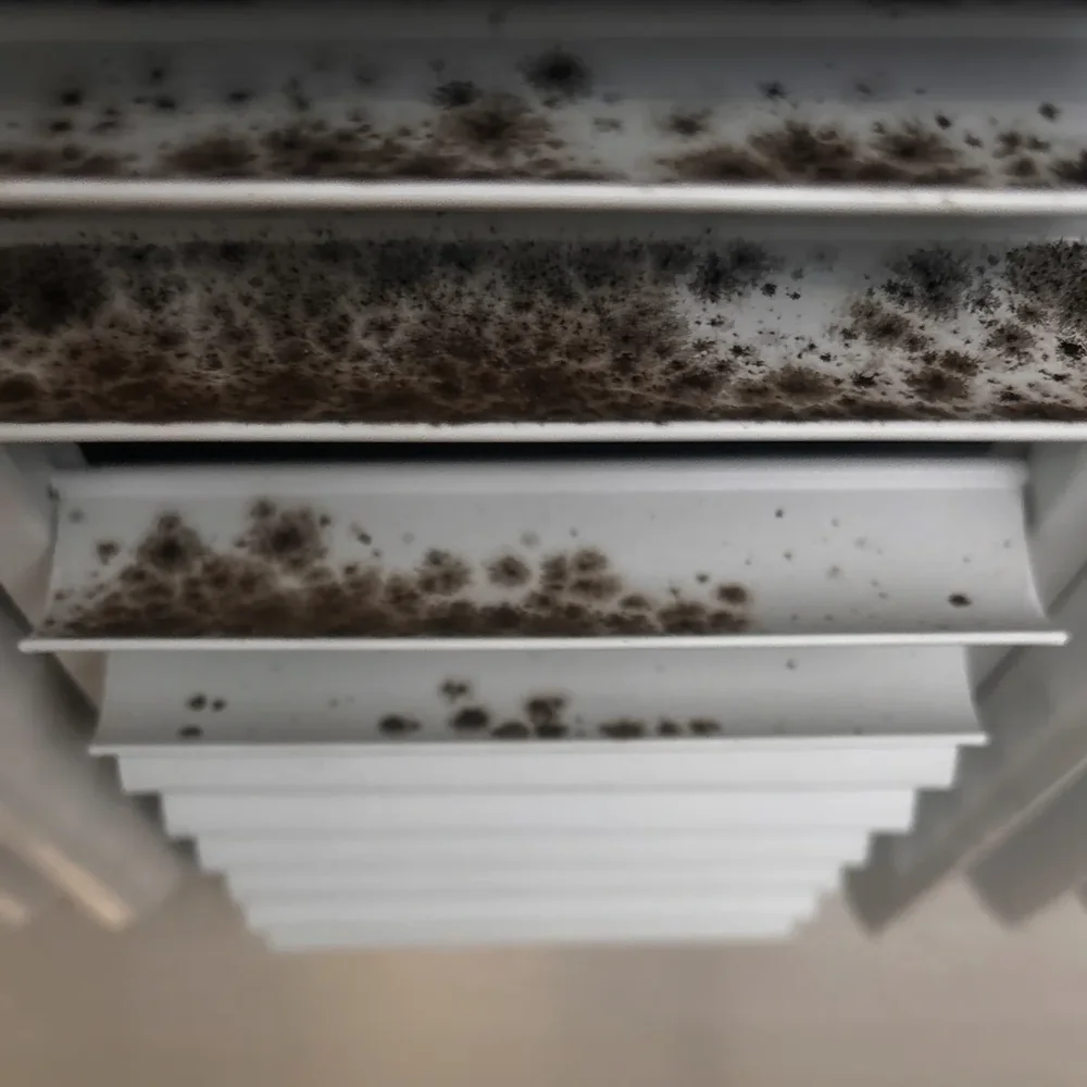 Ceiling air register with dark growth spotting across the grille blades